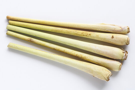 Several stalks of fresh lemongrass isolated against a clean white background.