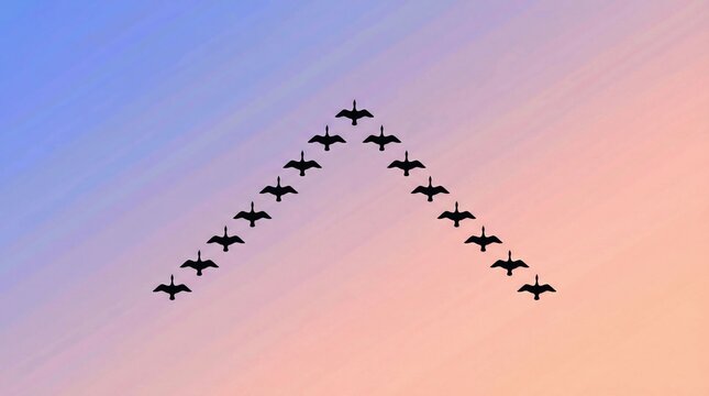 Minimal Bird Flock Flying in V Formation Symmetry Concept