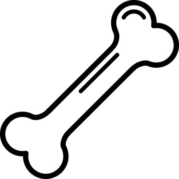 Bone Outline Illustration Style Sketch.