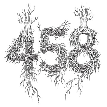 Ornate Root Numbers 458 - Organic Tree Branch Font Design