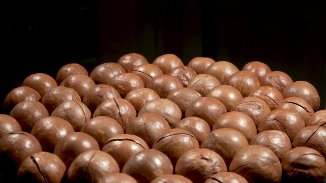 Roasted macadamia nuts on black background with empty space for text.