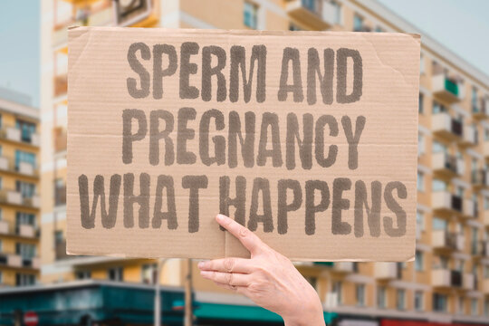 "Sperm And Pregnancy What Happens" Documented cervical biology shows pregnancy cervical mucus forms a physical barrier preventing sperm from entering the uterus. SPERM. PREGNANT. REAL. BODY. HEALTH.
