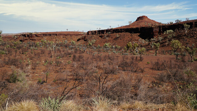Great Northern Highway south of the Kimberly region a red desert landscape with sparse trees and rocky Mesa