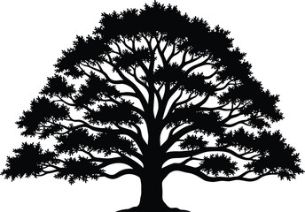 Obraz premium Tree Silhouette, Large Black Tree on White Background, Nature Illustration for Design