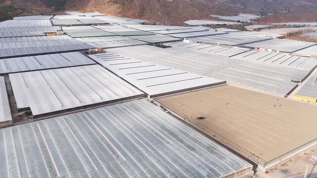 agriculture money industry field business modern greenhouse infinite pattern mountain invernaderos drone bless texture plastic sea - Andalusia, Spain - 2025