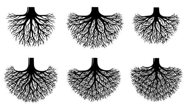 Black tree root system cross section vector set with bold underground structures isolated on white background