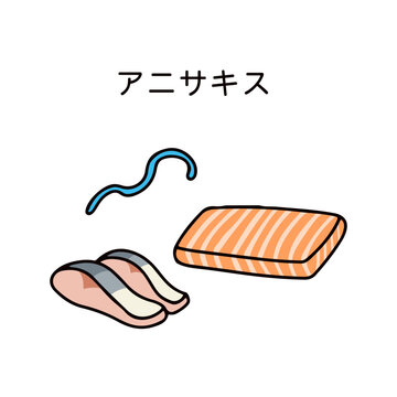 生のサーモンやサバとアニサキスのイラスト