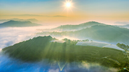 Fototapeta premium A breathtaking sunrise over mist-covered mountains, where golden sun rays stream through layers of fog and illuminate rolling green hills. In the foreground, terraced farmland and greenhouse structure
