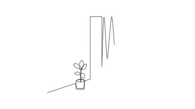 Decorative Corner With Curtain And Plants. Home Interior Concept Concept. Single line draw design Video 4k. Footage graphic illustration