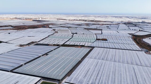 greenhouse architecture field agriculture modern horizon industry intensive farming structure immigration roof texture technology plastic sea - Andalusia, Spain - 2025