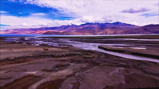 A serene landscape featuring a winding river flowing towards majestic purple mountain ranges