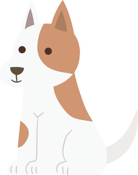 Cute Puppy