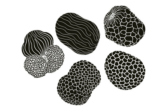 Assortment of truffles with textured surface isolated on checkered background.