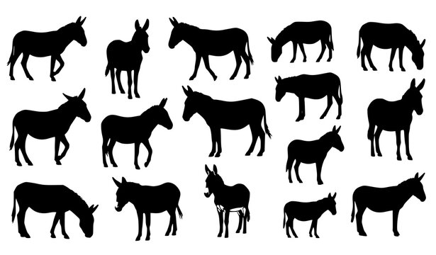 Black donkey silhouette collection with multiple poses and angles for farm and rural design