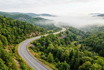 Fototapeta premium Aerial view of a winding asphalt road cutting through a dense green forest into deep morning fog