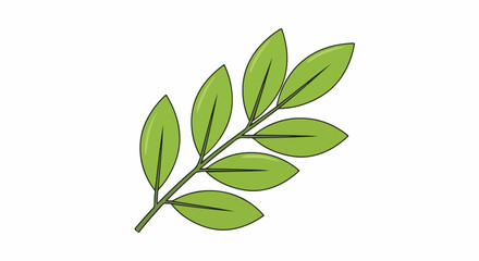 A green leafy branch with seven leaves on white © Tobirama