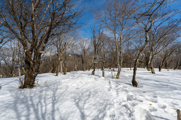 Fototapeta premium Hiking Routes on Mount Akagi and the Surrounding Area