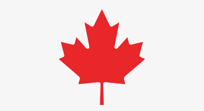A red maple leaf on a white background