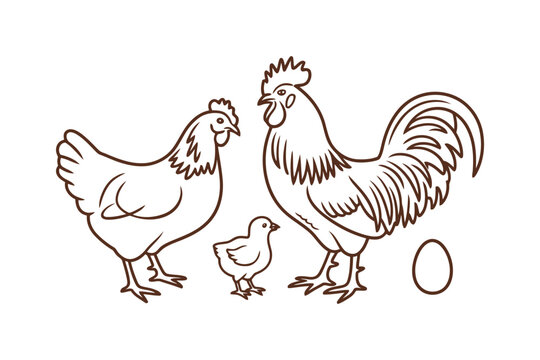 Chicken family with rooster hen chick and egg line art vector illustration.