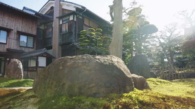 Warm Sunny Morning, Japanese Moss and Stone Garden Scene