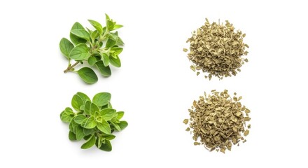 Obraz premium Fresh and dried oregano leaves composition on white background