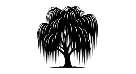 Weeping Willow Tree Silhouette Illustration. © Choir