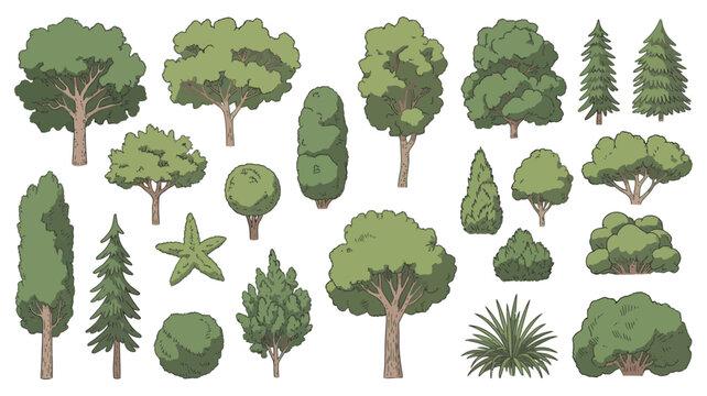 Illustrated set of tree and shrub symbols for landscape design plans, botanical elements for site mapping, clean vector illustration.