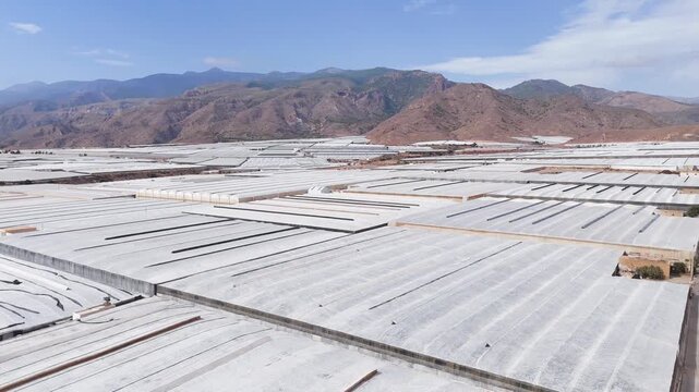 plastic sea landscape drone greenhouse invernaderos field architecture mountain travel business success industrial equipment industry terra forming earth transformation - Andalusia, Spain - 2025