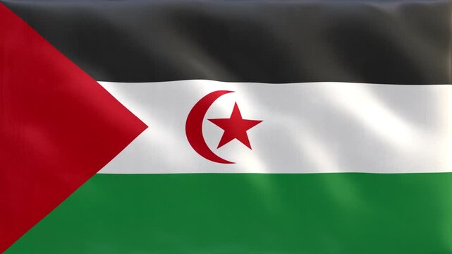 Sahrawi_Arab_Democratic_Republic_National_Flag_Waving_Seamless_Loop_4K