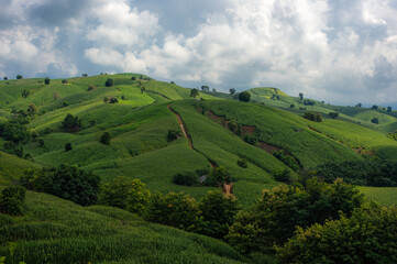 Obraz premium Hills and mountains, nestled amidst lush forests, are bathed in sunlight.