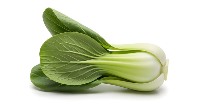 Single bok choy cabbage with green leaves and white stem isolated on plain background healthy vegetable.