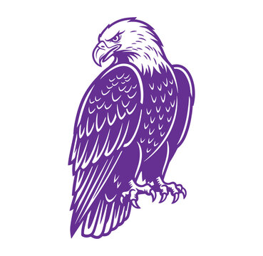 Purple eagle standing on one leg with wings spread wide in profile view
