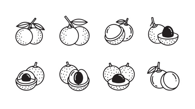 Longan Fruit Icons Set Whole and Halved Outline Vector Graphics