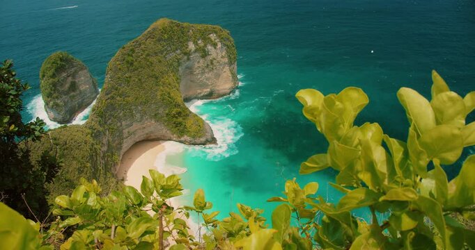 Tropical plants border the famous T Rex shaped cliff at Nusa Penida Bali Island
