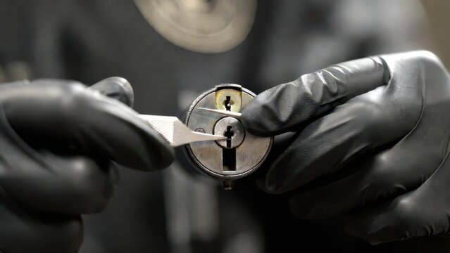 Precision Tools for Lock Manipulation by Skilled Technician Hands