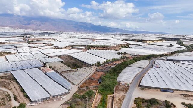 plastic sea landscape field greenhouse agriculture management earth terra forming intensive farming invernaderos summer business success roof texture industry industrial - Andalusia, Spain - 2025