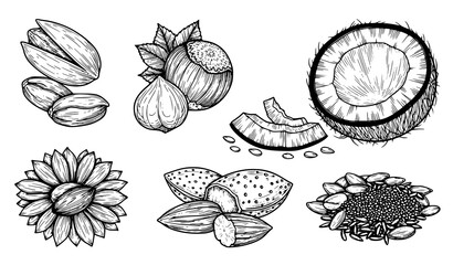 Fototapeta premium A black and white vector illustration of various coconut and flower designs