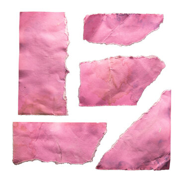 Set of Pink Torn Paper Scraps on White Background