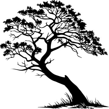 Black Silhouette of a Windswept Bonsai Tree with Intricate Branches Isolated on White Background Vector Illustration