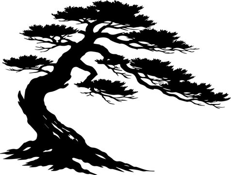 Black Silhouette of a Traditional Japanese Pine Bonsai Tree Graphic Vector Illustration