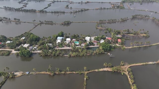 Drone footage reveals a picturesque Kerala backwater village surrounded by dark murky waters with coconut palm trees lining narrow land strips and traditional homes with colorful rooftops nestled amon
