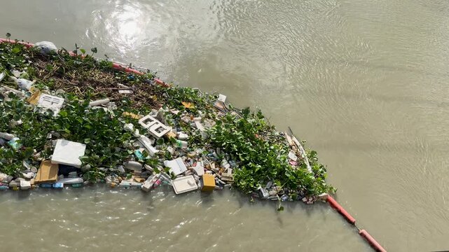 Plastic Waste and Water Hyacinth Floating in a Manila River