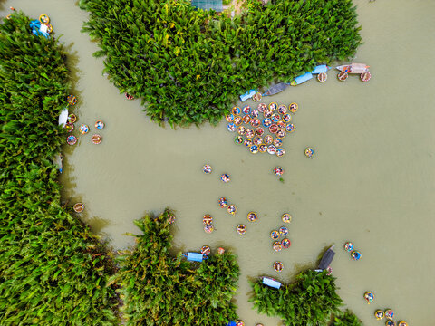 Aerial view of people in traditional round basket boats and longboats navigating through the lush green coconut forest waterways in Hoi An, Vietnam.