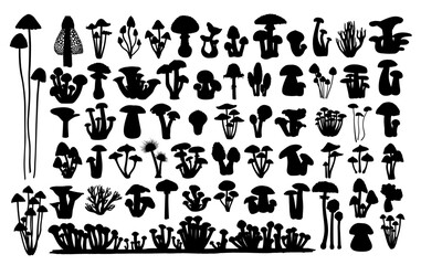 Obraz premium A set of silhouettes of forest mushrooms. 