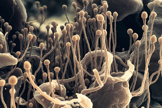 Generated artificial illustration of fungi in microscopic perspective.