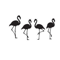 Flamingo Silhouette Set Black White Vector Minimal Illustration Flamingo Bird Silhouettes Collection Simple Flat Design Pack Flamingo Vector Bundle Black and White Wildlife Silhouette Set © Kinza