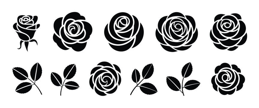 Set of black rose flower and leaf sprigs in various bloom stages isolated on a white background for silhouette