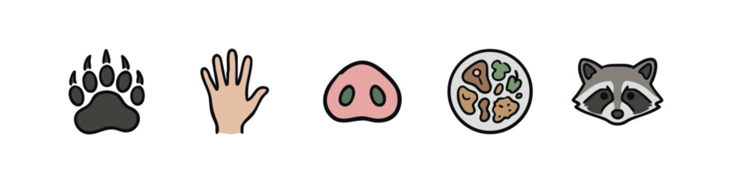 Animal Anatomy and Wildlife Species Icon Set