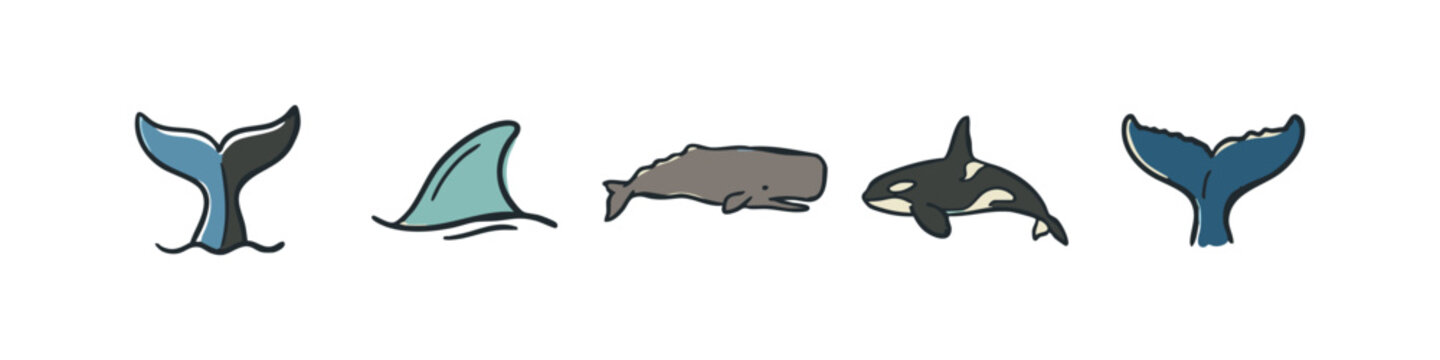 Ocean animal icons: whale tails, shark fin, whale, orca