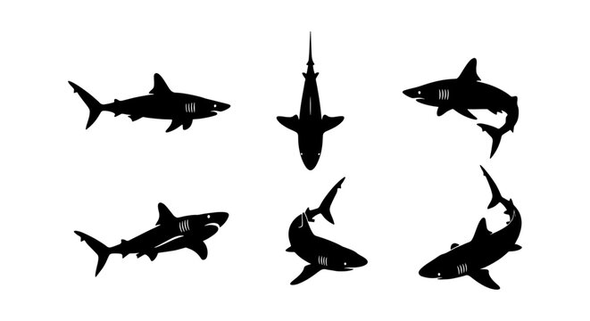Shark silhouette vector collection, set of 6 black predatory fish icons, great white shark swimming poses, aquatic marine life graphics